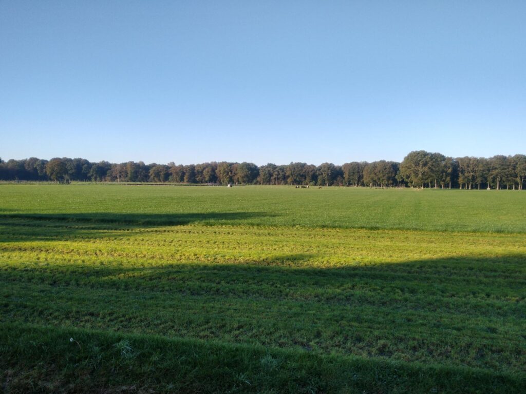 Zonnige dag in oktober